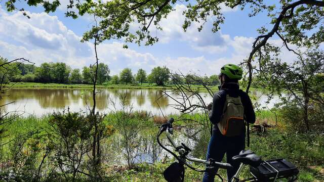 Itinerary L'Ain à Vélo - The Dombes and its thousand ponds (1 day)
