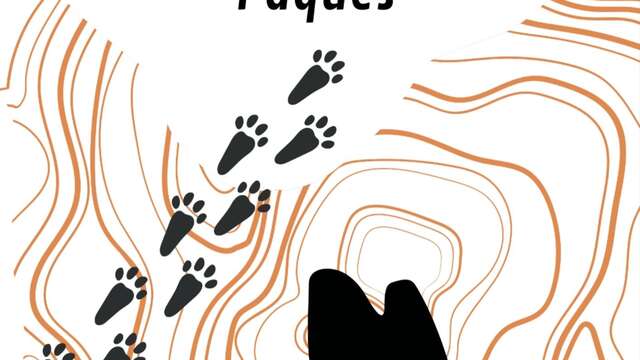 Les enquêtes de Pâques à la Grotte du Bosc