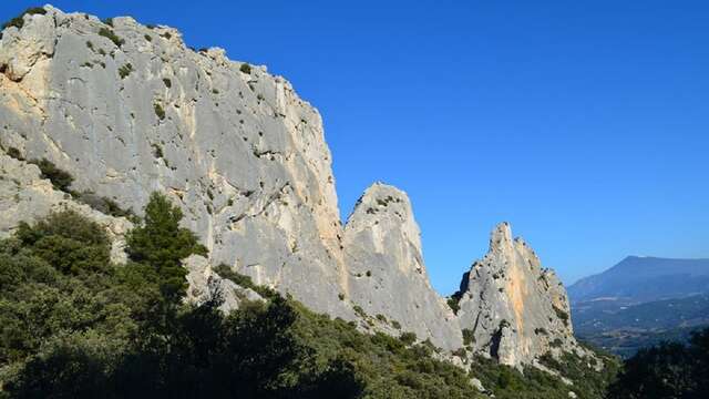 Dentelles de Montmirail