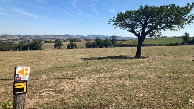 Pfad der tapferen Schritte