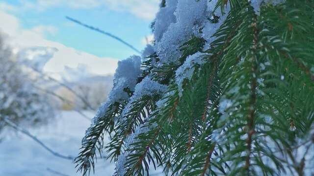 Formation à la nivologie et aux risques d'avalanche.
