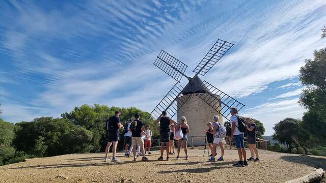 Nature tour in Porquerolles, Pirate plants and natural treasures of Porquerolles