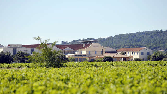 Maison Sérina – Les Coteaux du Rhône