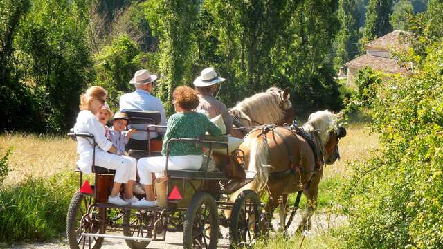 Attelage : roulotte itinérante et balade en calèche - Drôme Roulottes Vacances