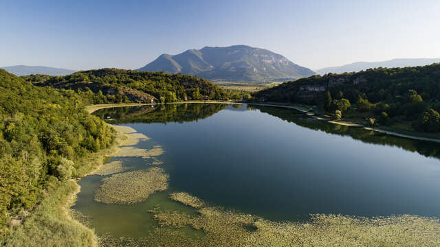 Circuit de randonnée pédestre : Lac et vignobles