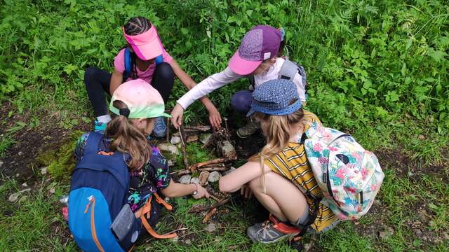 Randonnée famille "Le monde merveilleux des insectes"