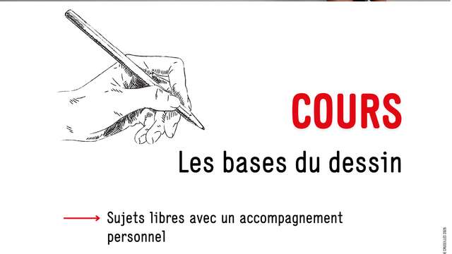 Les bases du dessin