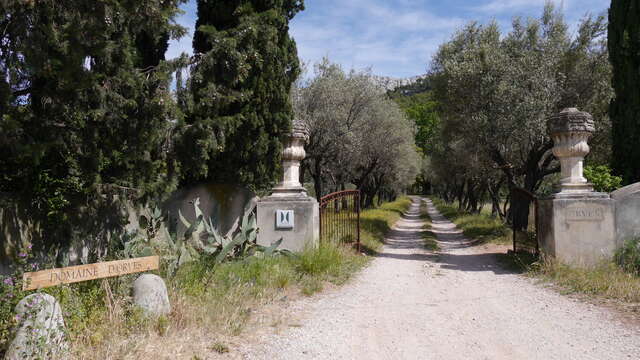 Guided tour of the Domaine d'Orvès remarkable garden