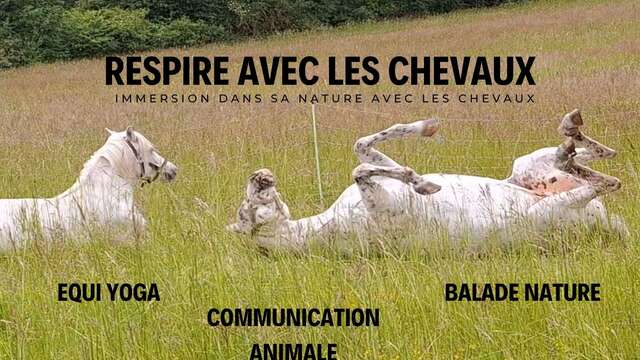 Respire avec les chevaux - Equi yoga and horse-mediated communication