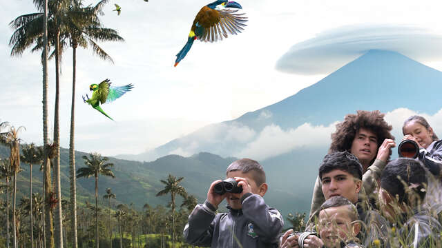 Projection "Gardiens des oiseaux"