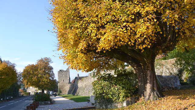 Les remparts