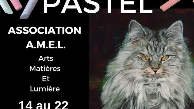 Exposition Salon du Pastel