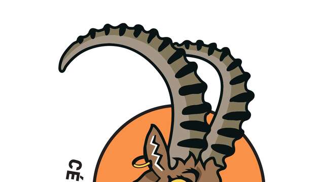 Célestin dem Steinbock - Wintersport im Val de Bagnes