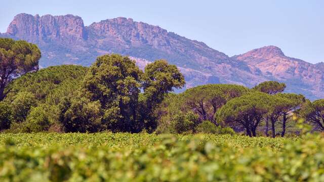 Immersion dans un domaine solidaire et engagé