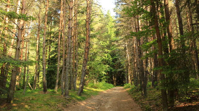 Sentier des bois, le Pas de St-Martin