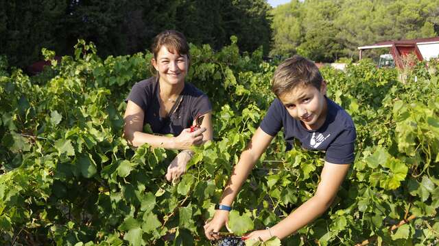 Visite de la cave - Domaine du Gros Pata