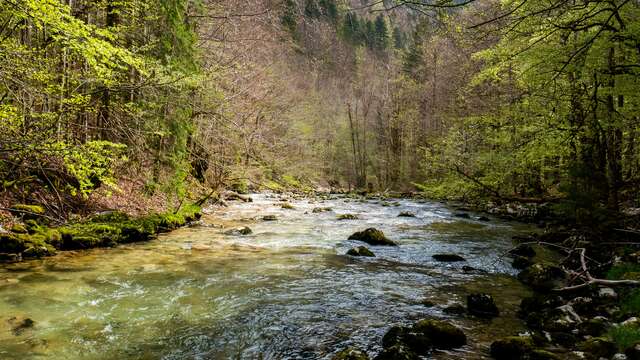 Naturanimation: Fluss und Hochwasser