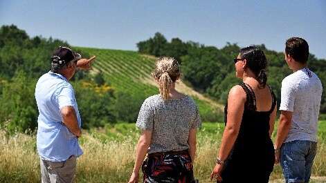 Balade vigneronne à la cave des Vignerons du Mont Ventoux