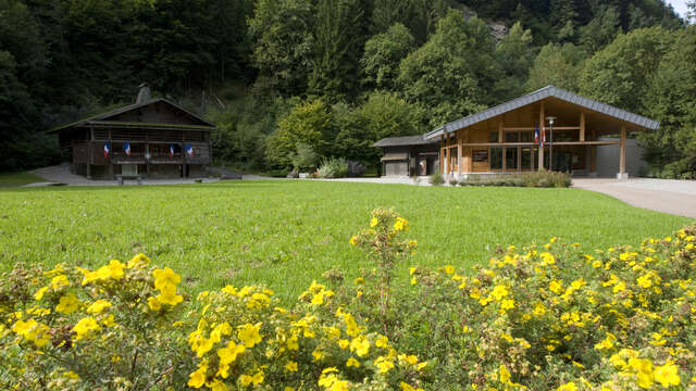 Visite guidée Sortir de la guerre