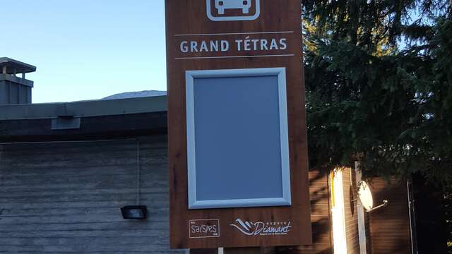 Grand tétras