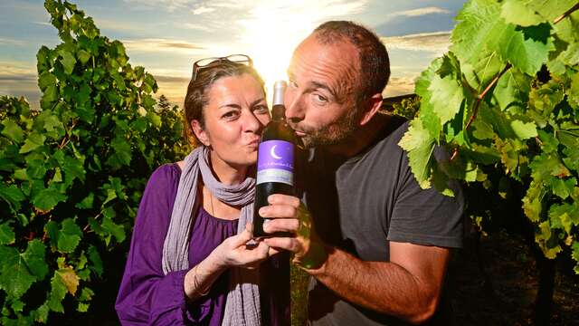 Les Lundis soirs Ici - Mas Poupéras