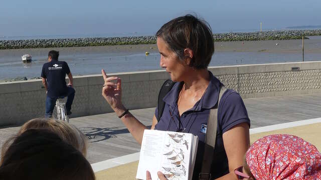 Junior Safari: In the footsteps of animals