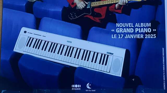 Concert "Mathieu Boogaerts en groupe" - La Géante de Provence