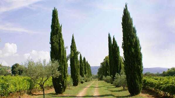 Boucle au-dessus du Domaine de Valcolombe