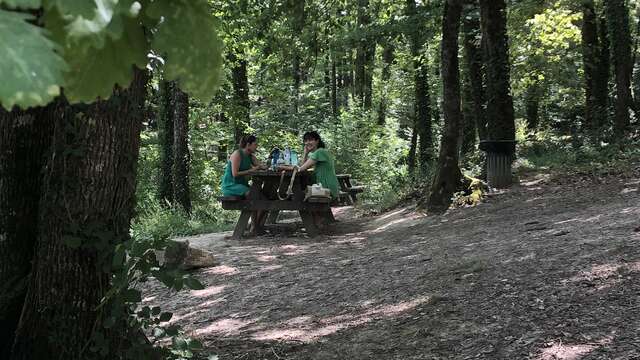 Picnic area in the forest
