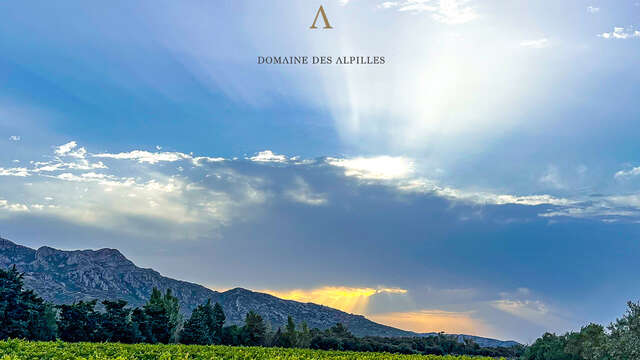Domaine des Alpilles
