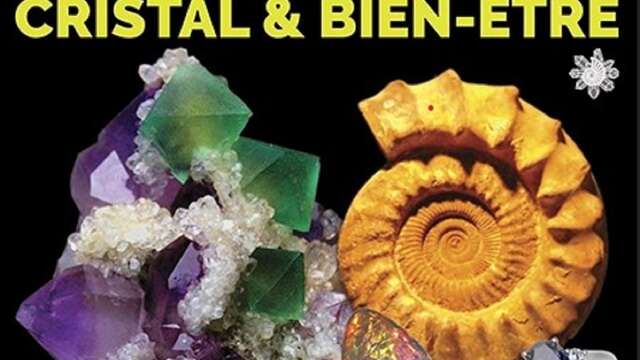 24ème salon des minéraux