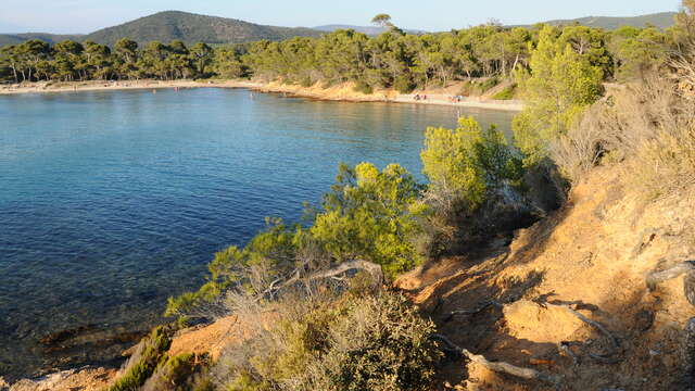 Randonnée sur le sentier du littoral - De la plage de Cabasson à la plage de Pellegrin