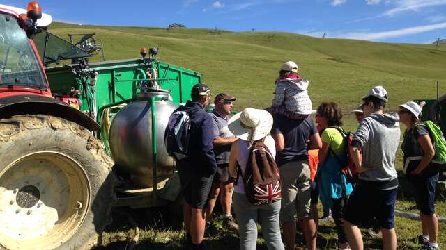 Visite guidée : A la rencontre d'un alpagiste sur les pentes du col du Joly