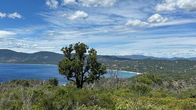 Domaine du Cap Lardier VTT