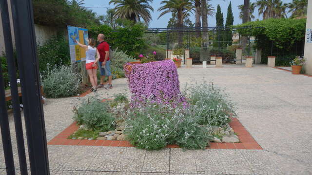 Emmanuel Lopez Garden