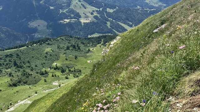 Pointe de Ressachaux