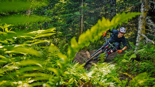Enduro de la Trace - Enduro MTB-parcours nr. 37