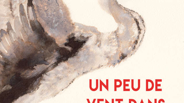 Conte musical "Un peu de vent dans les plumes"