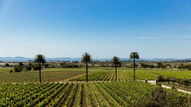 Free guided tours and tasting at Château Galoupet