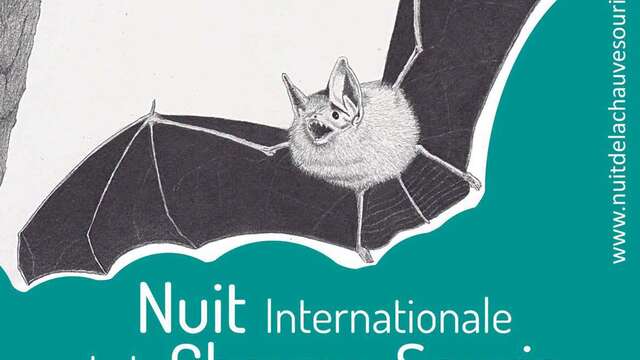 Internationale Fledermausnacht