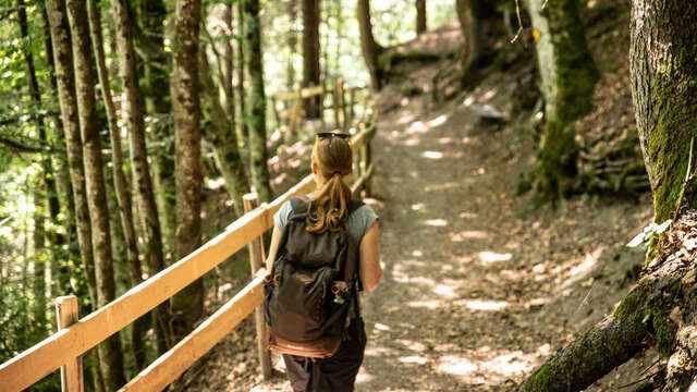 Chemin des poussettes