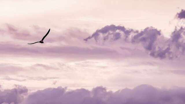 Printemps des Poètes : rencontre musicale et poétique