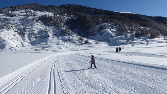 Skating et alternatif