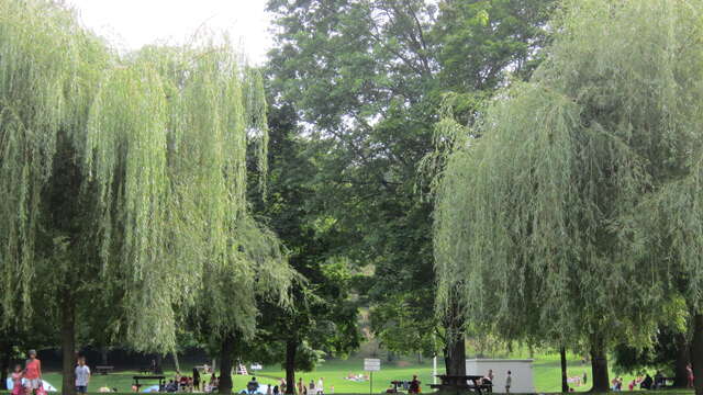 Parc du Forézan