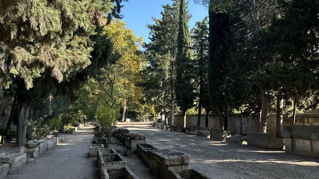La nécropole des Alyscamps et l'église Saint Honnorat