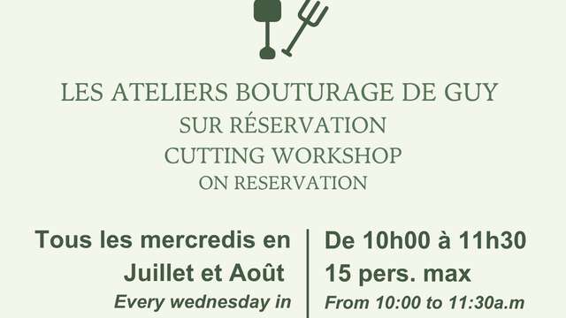 Atelier bouturage d'olivier