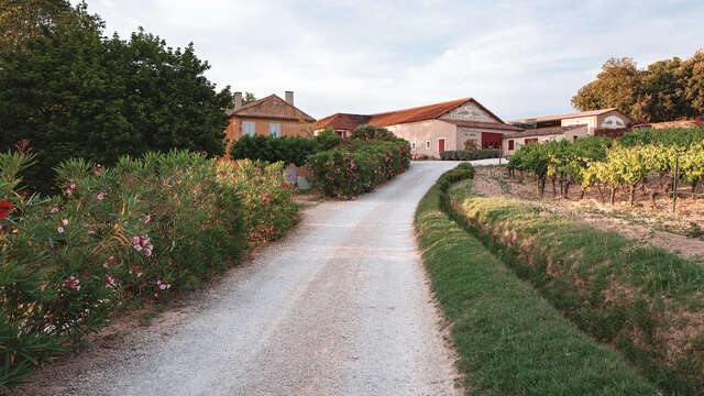 Château La Dorgonne