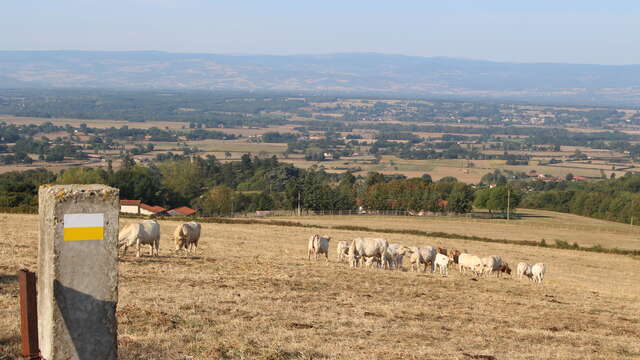 Sentier Les deux chapelles