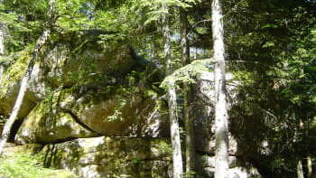La Roche Martine