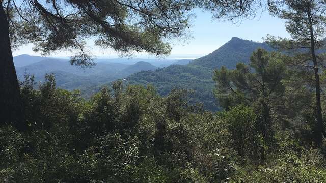 Promenade : La Rouvière - Bagnols-en-forêt
